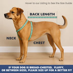 Spark Paws ice blue cooling vest folded