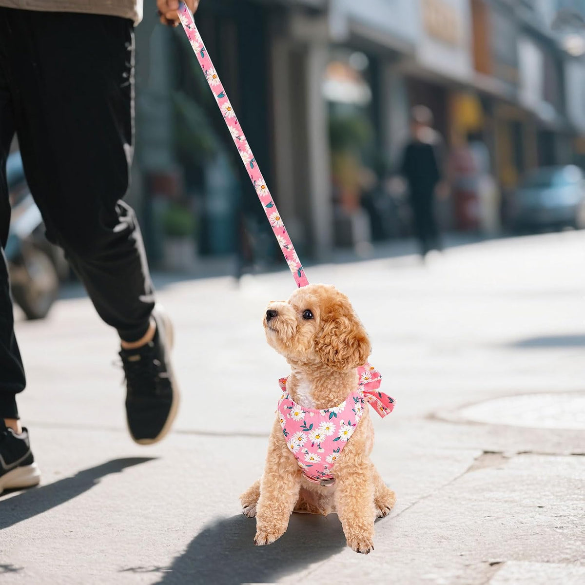 Breathable mesh fabric texture of YKYUASD dog harness