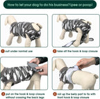Rear view of Kuoser dog recovery suit for potty access