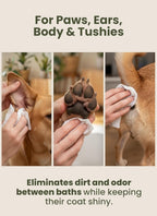 Travel friendly packaging of Pogi's pet wipes