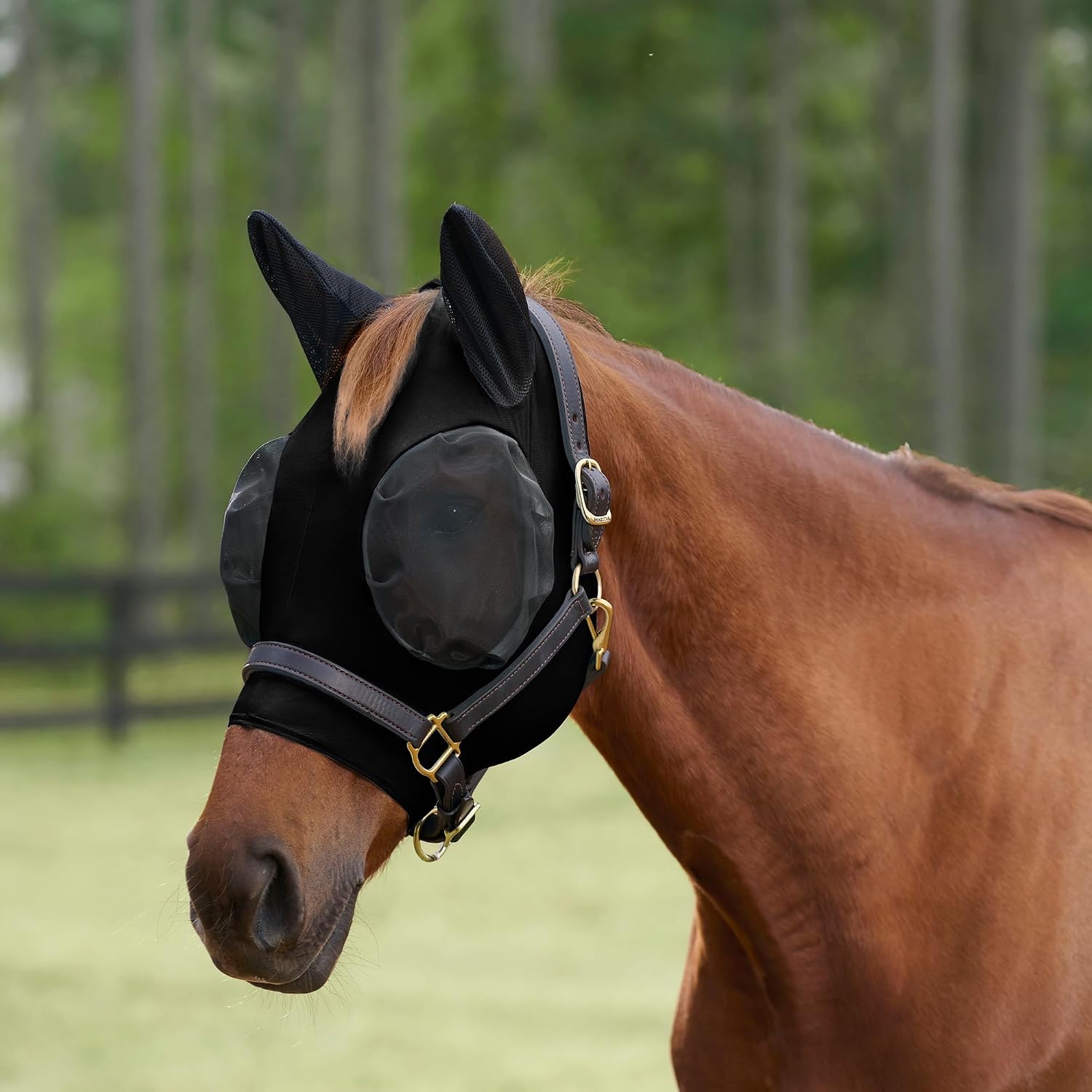 SmartEquine Comfort Horse Fly Mask front view