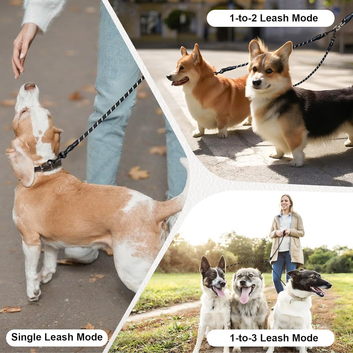 Full premium LEOSASA three pet walking set including the modular black nylon lines and heavy duty couplers packaging view.
