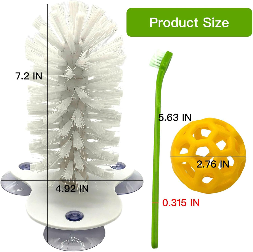 Suction cup tortoise shell cleaning brush showing three high power suction cups