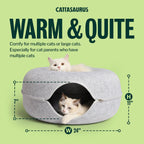 Cat inside Cattasaurus Peekaboo tunnel bed