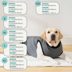 Avont anti licking surgical suit large size on a dog showing freedom of movement