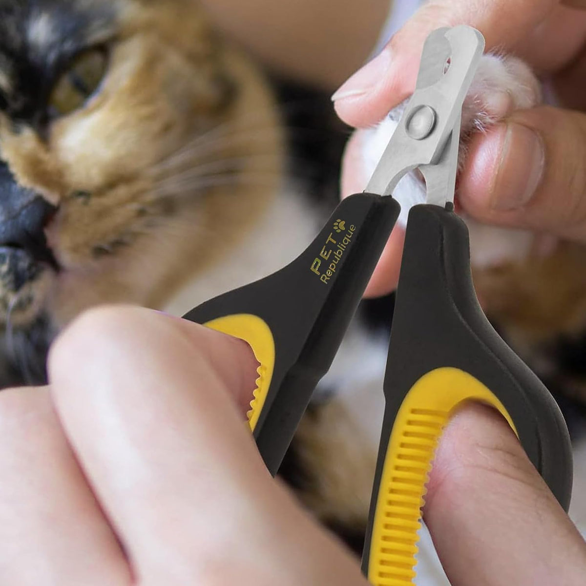 Pet Republique nail clippers curved blade angle