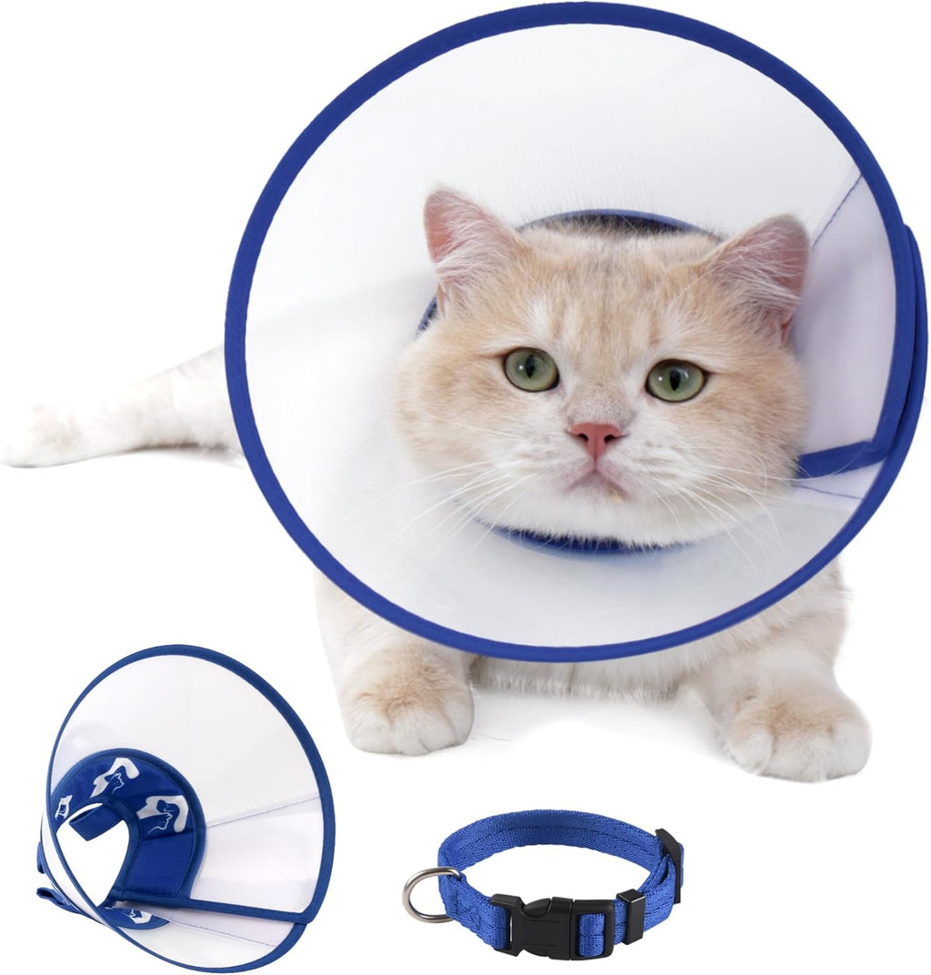Sufisat cat cone recovery collar front view on a white background showing transparent shield