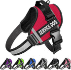 JSXD no-pull service dog harness front view showing red nylon