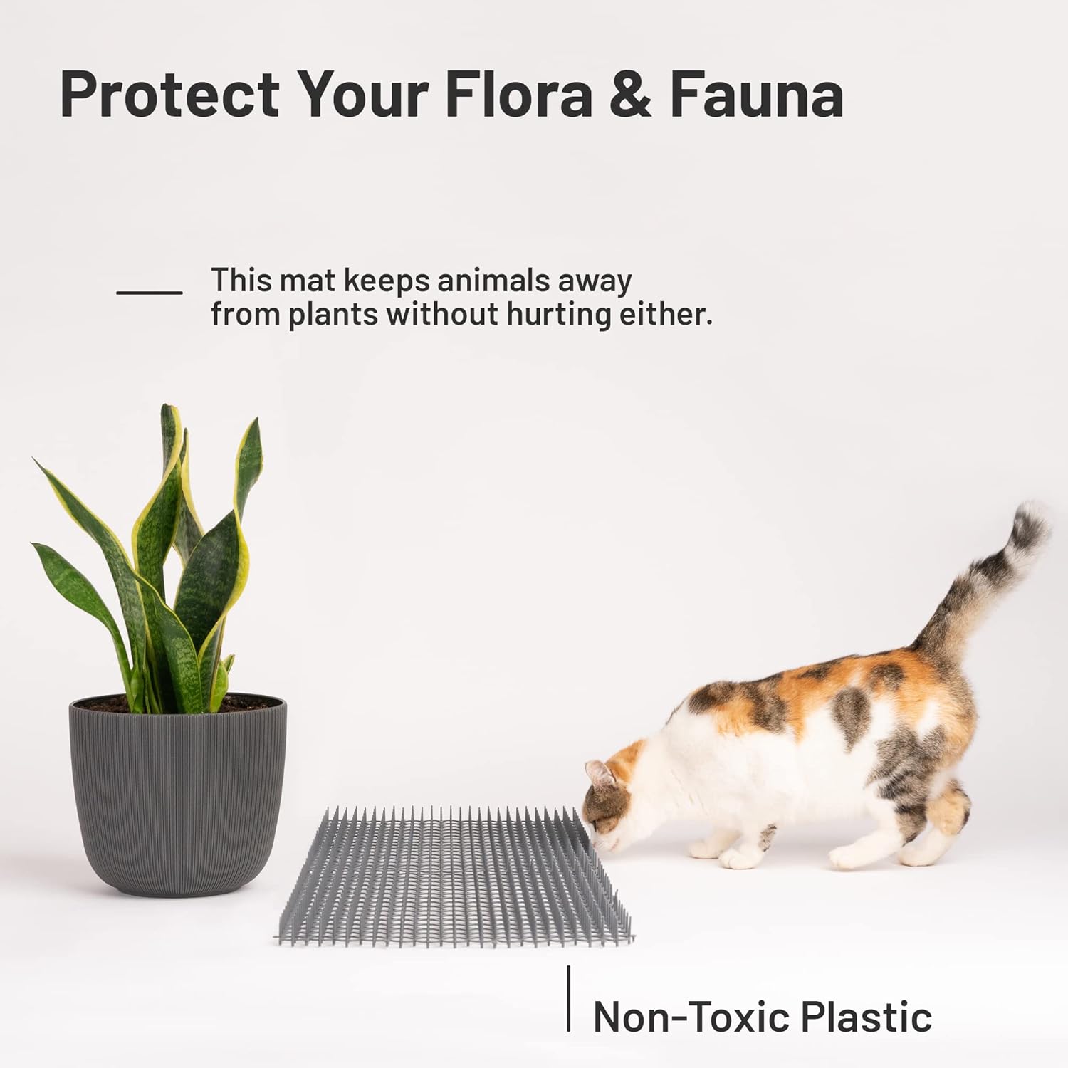 Gray cat scat mat on indoor sofa