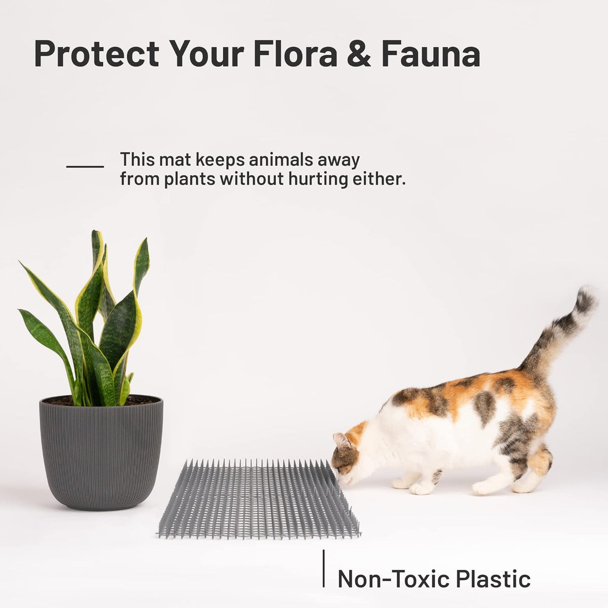Gray cat scat mat on indoor sofa