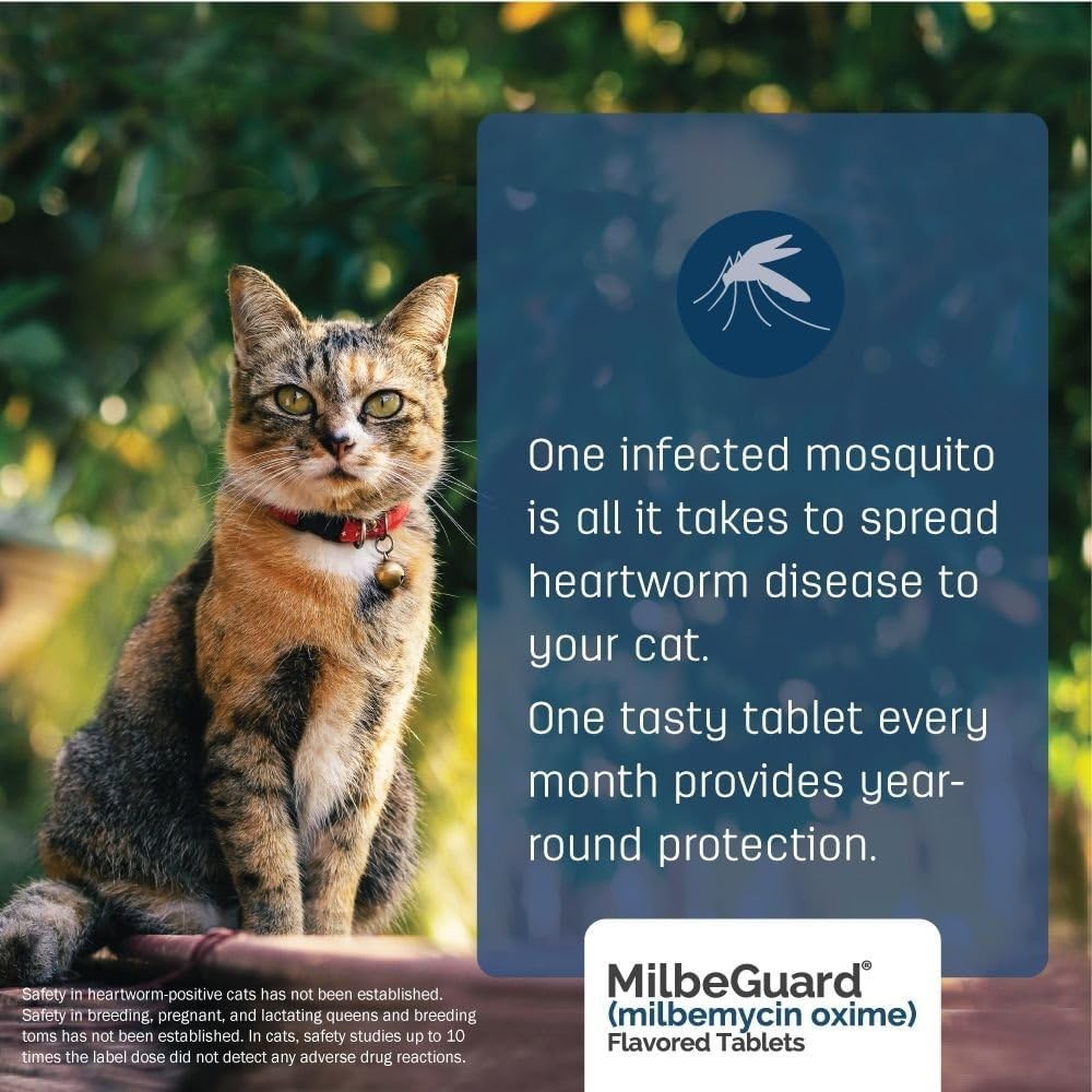 MilbeGuard 6 count pack for heartworm control in pets