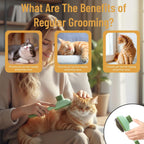 Three different pet grooming combs laid out to show fine and wide tooth variations