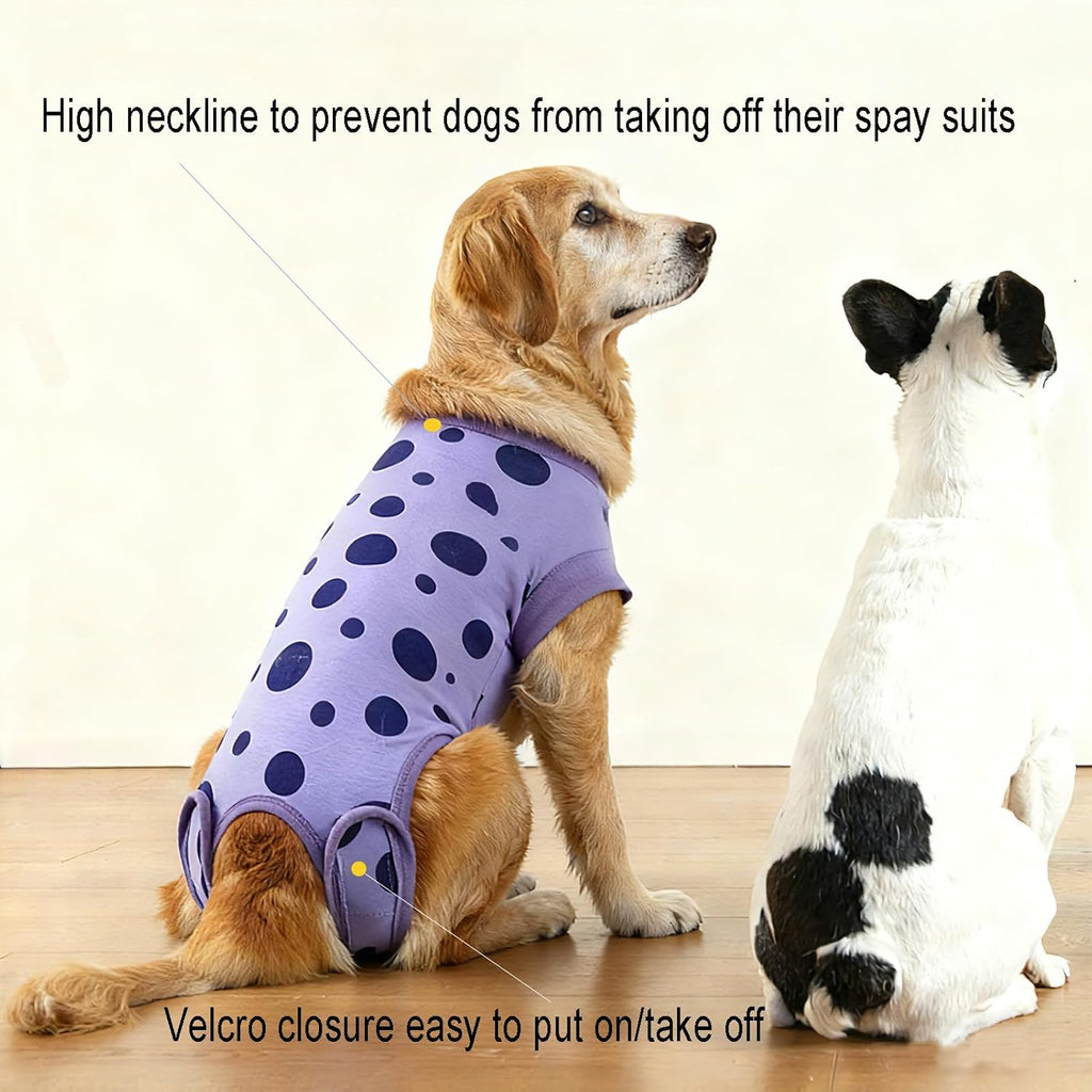 Polka dot pet recovery vest highlighting the convenient pee hole design