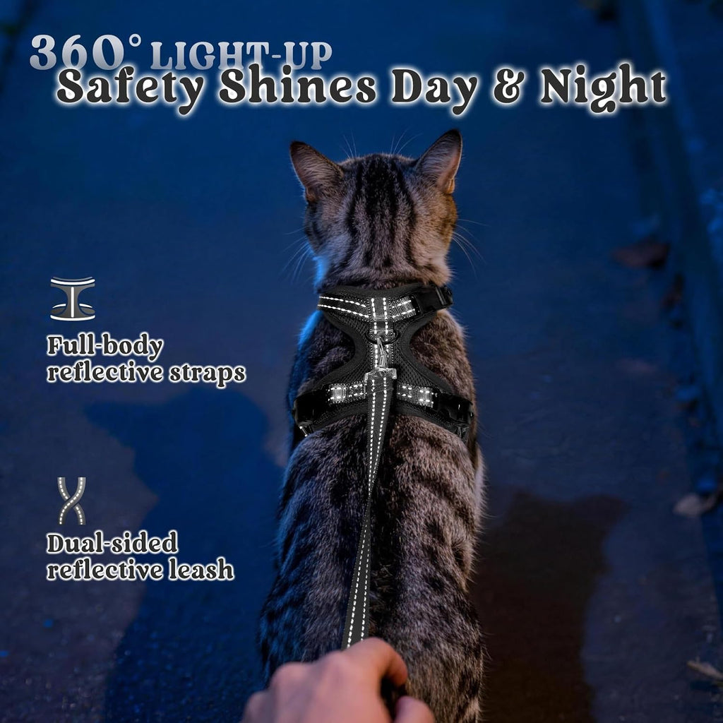Packaging contents showing the rabbitgoo small black cat harness with matching four point nine feet leash