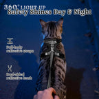 Packaging contents showing the rabbitgoo small black cat harness with matching four point nine feet leash