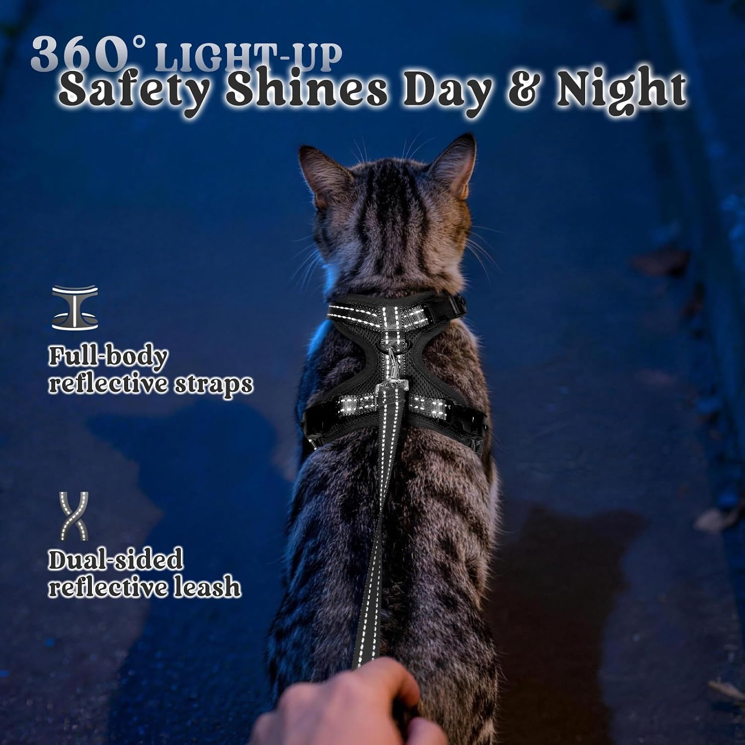 Packaging contents showing the rabbitgoo small black cat harness with matching four point nine feet leash