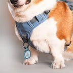 Pawaii water resistant smart pet id tag close up view showing premium texture