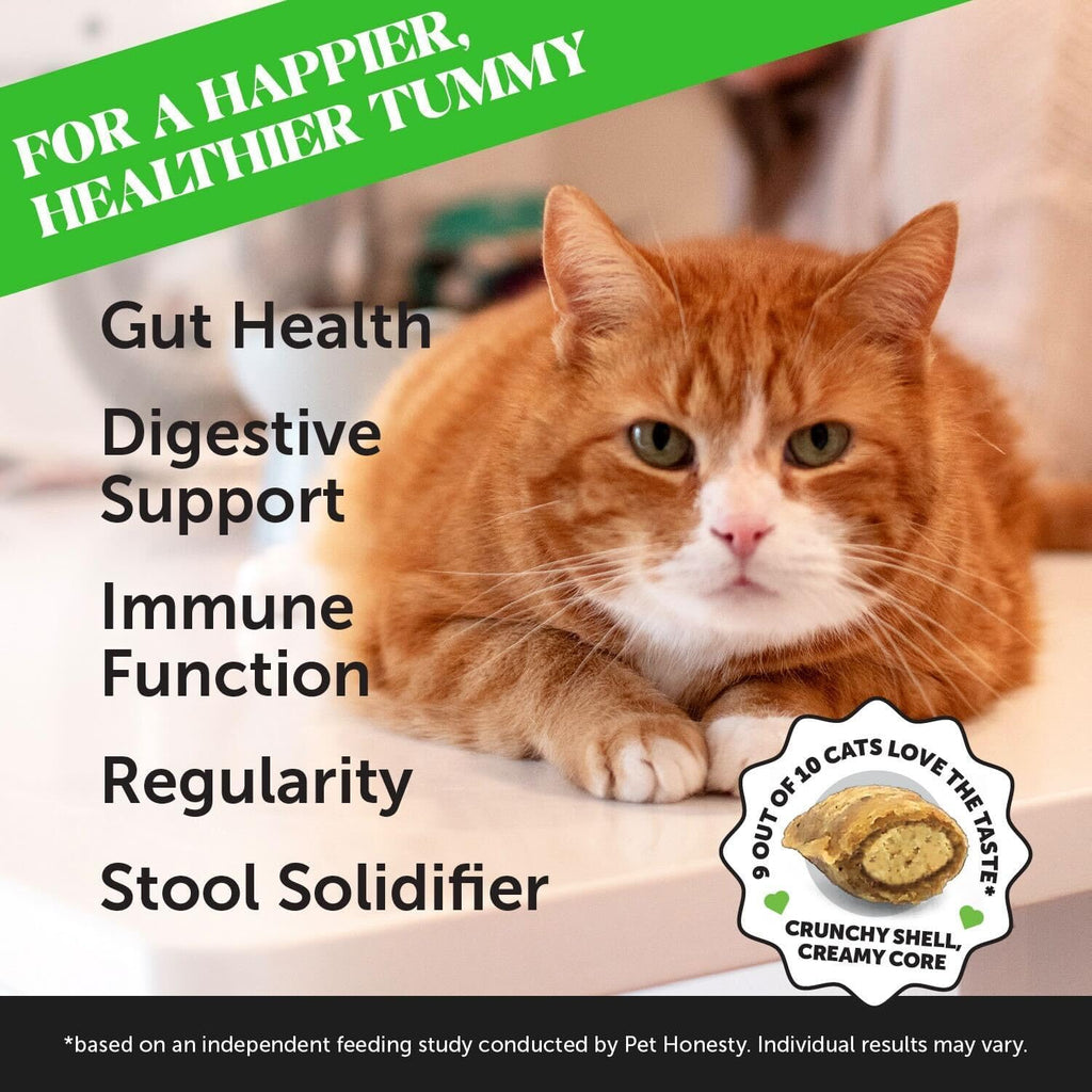Pet Honesty digestive supplement packaging showing chicken flavor and thirty day supply details.