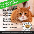 Pet Honesty digestive supplement packaging showing chicken flavor and thirty day supply details.