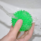 Sharlovy squeaky toy balls showing size and scale