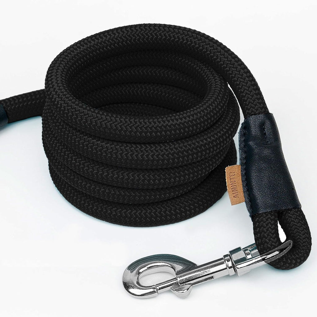 Strong black nylon dog walking lead showing the secure handle loop for pet parents.