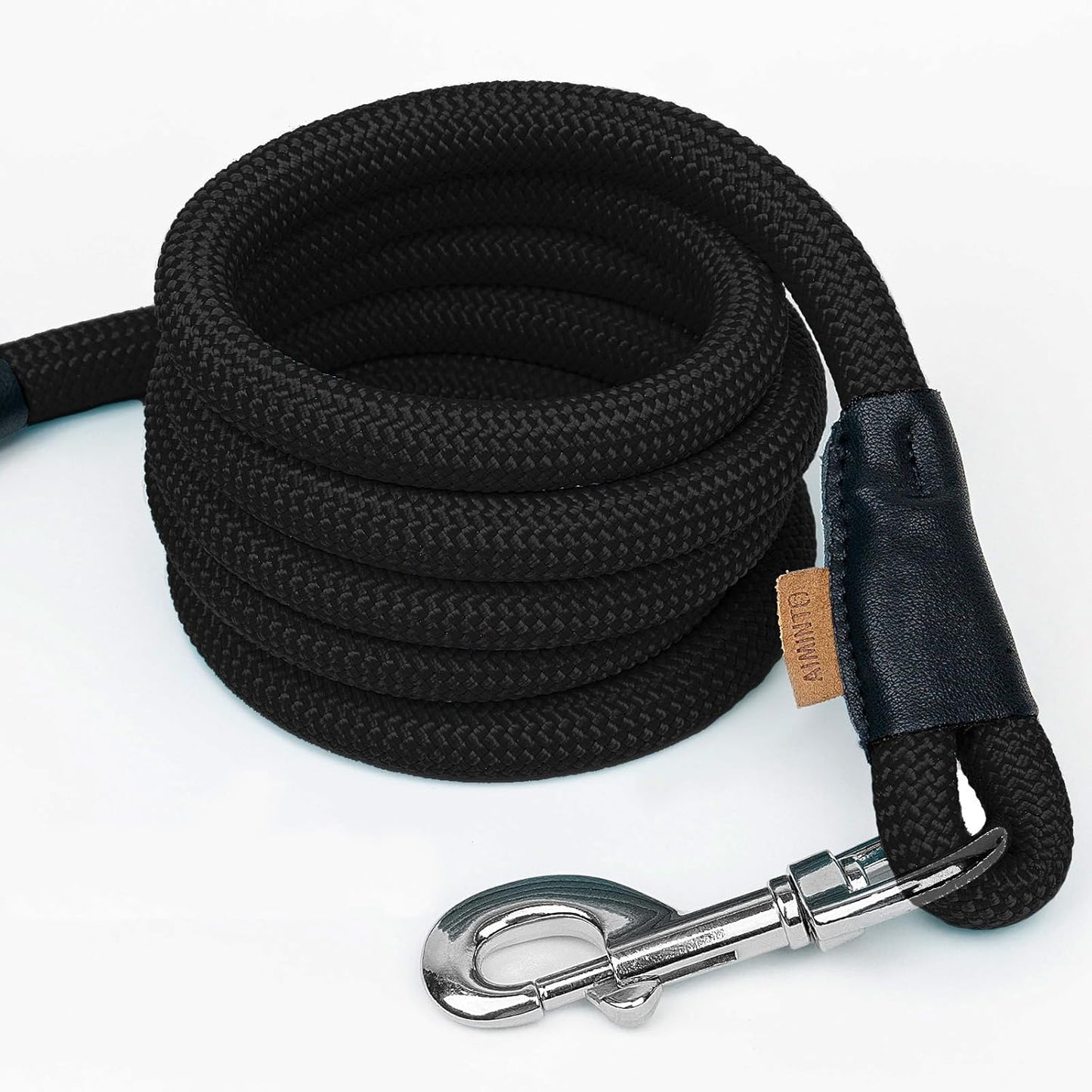 Strong black nylon dog walking lead showing the secure handle loop for pet parents.
