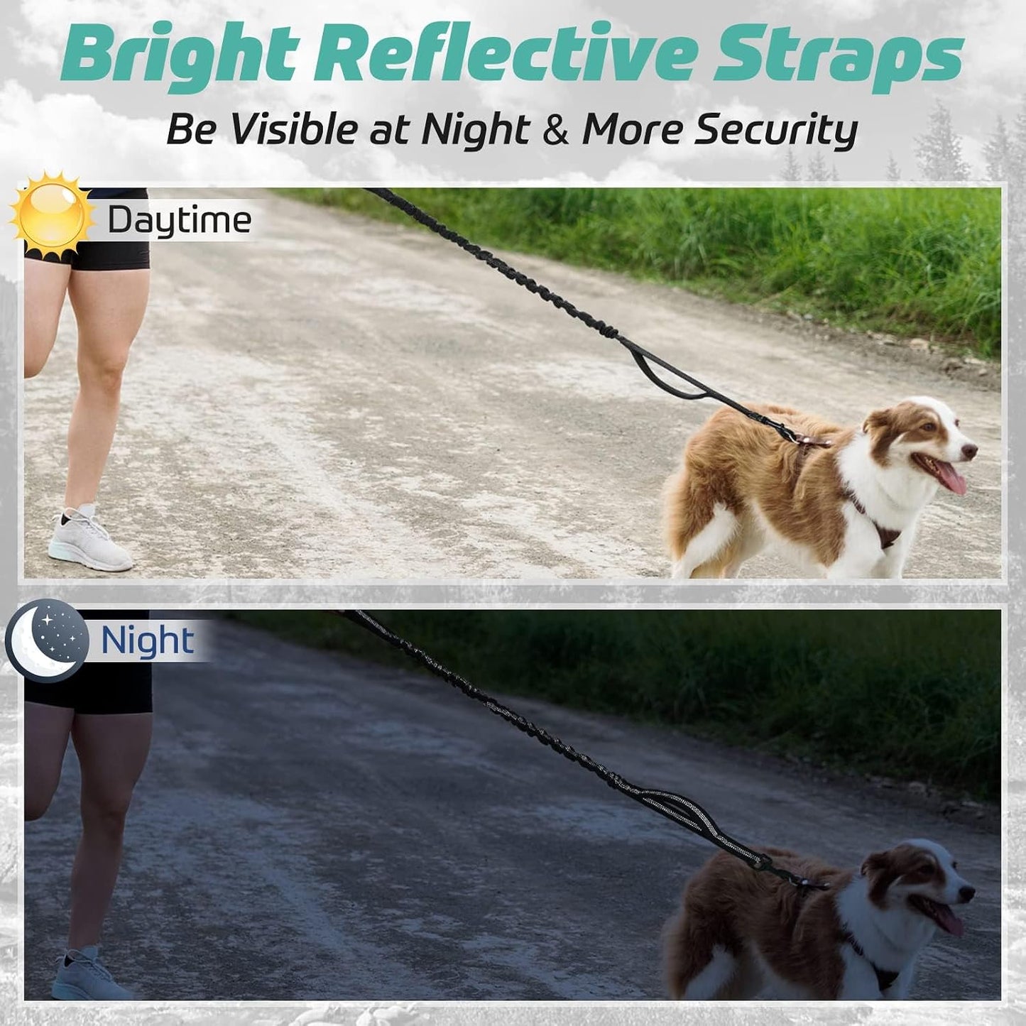 Durable stretchable dog rope designed for medium and large dog breeds