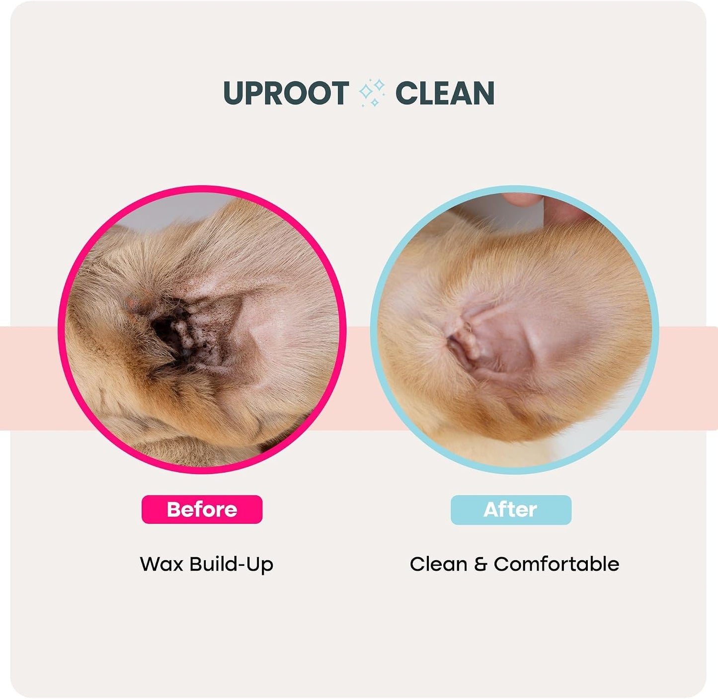 Grooming routine using Uproot Clean disposable finger wipes for bunnies