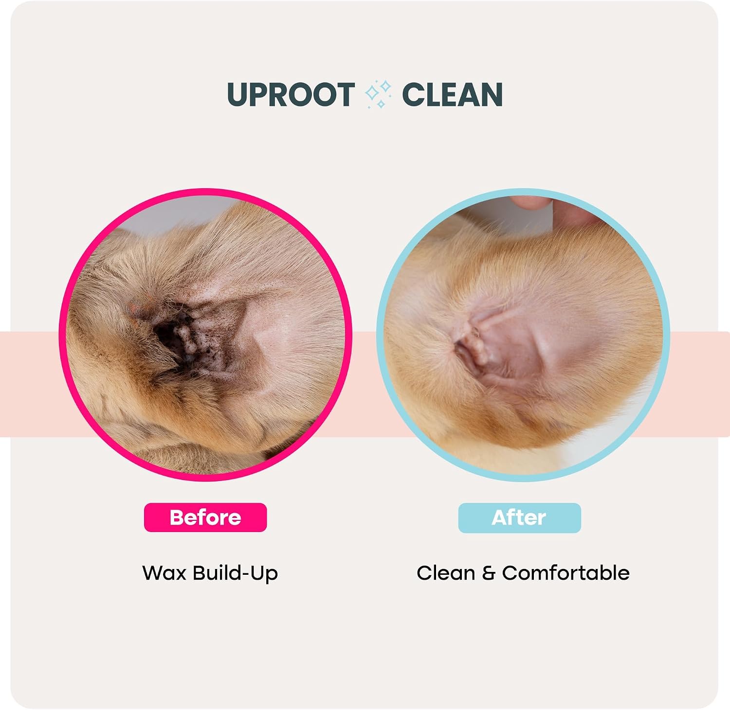 Grooming routine using Uproot Clean disposable finger wipes for bunnies