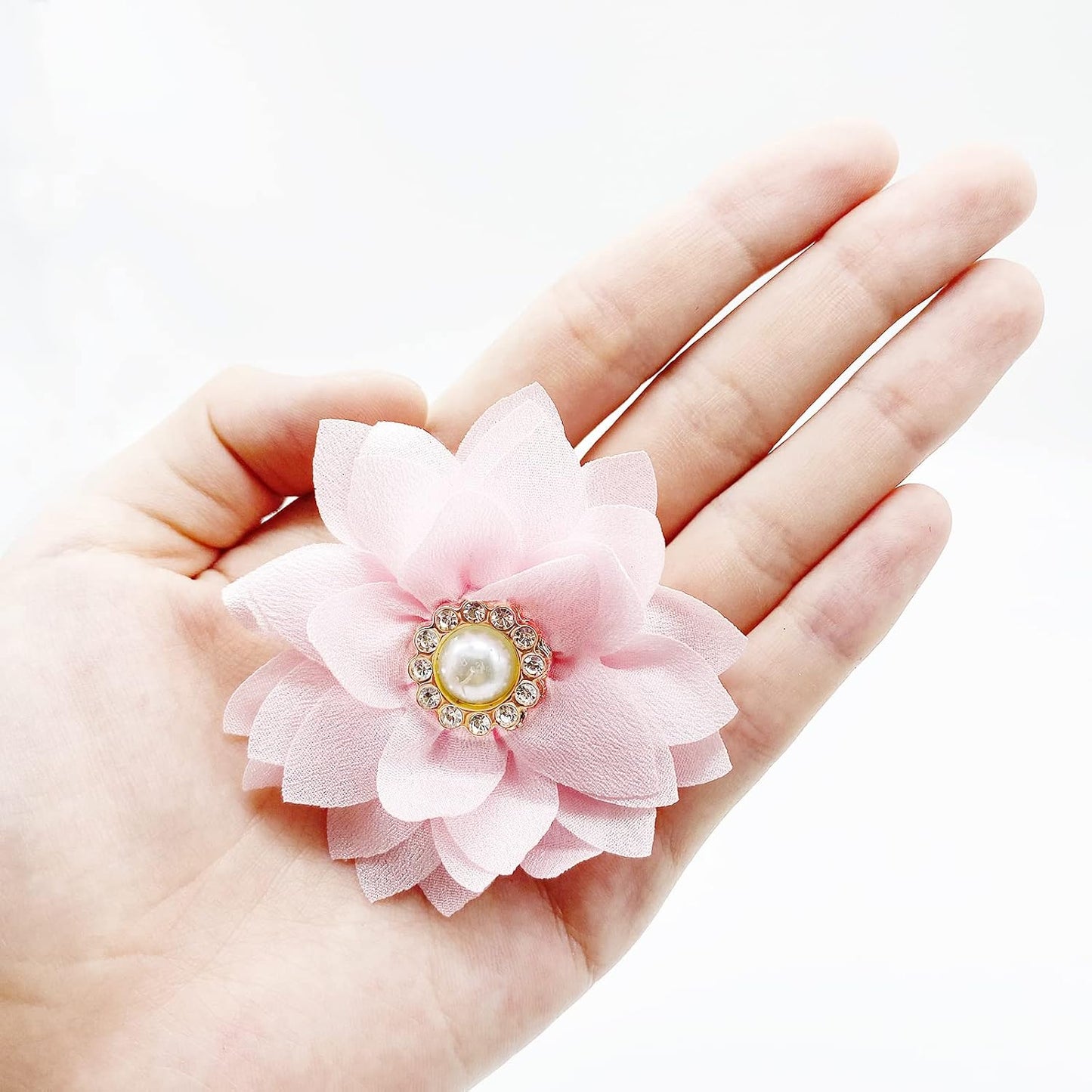 Small puppy wearing floral collar attachment accessory