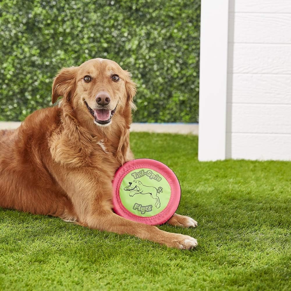 Booda Tail-Spin Flyer dog toy showing soft rubber edge