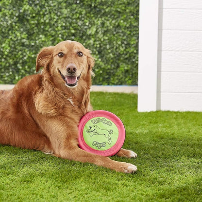 Booda Tail-Spin Flyer dog toy showing soft rubber edge