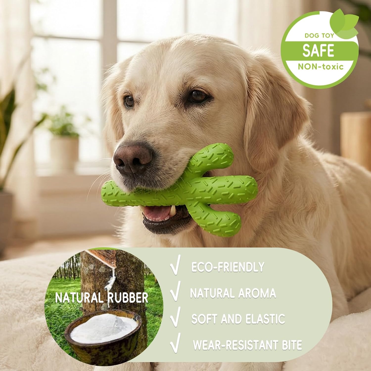 Textured rubber surface of MewaJump cactus dog toy for dental cleaning