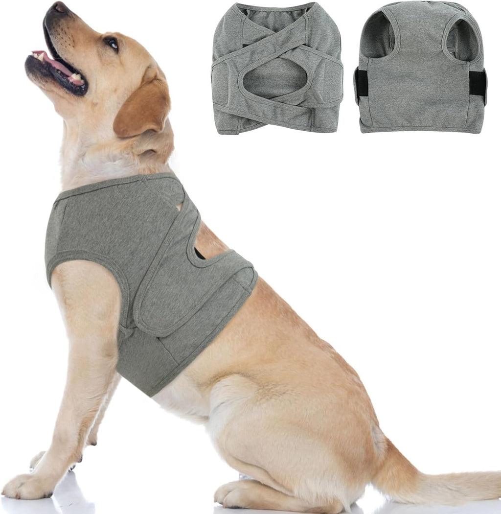 Brkurleg dog chest recovery suit grey front view