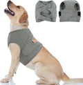 Brkurleg dog chest recovery suit grey front view