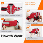 Reflective visibility demonstration of the LeLePet puppy life vest under low light conditions.