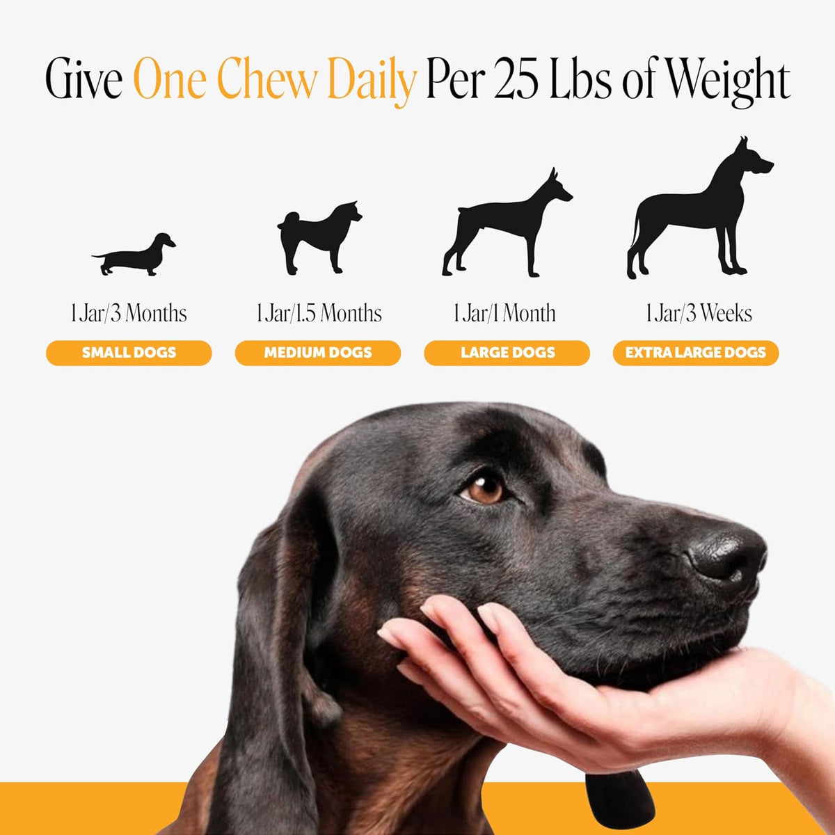 Pet Honesty premium imported USA pet health chews packaging back view