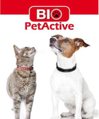 Bio PetActive imported pet food supplement for nursing mother cats.