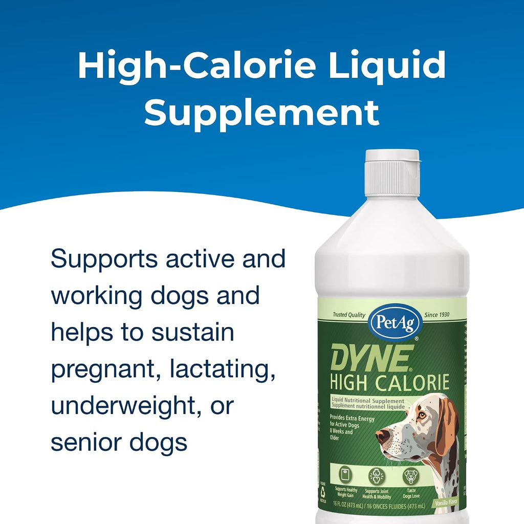 PetAg Dyne liquid supplement for active dogs and puppies