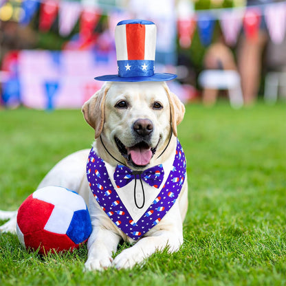 ShuRung 4th of July pet costume set with blue bowtie and top hat.