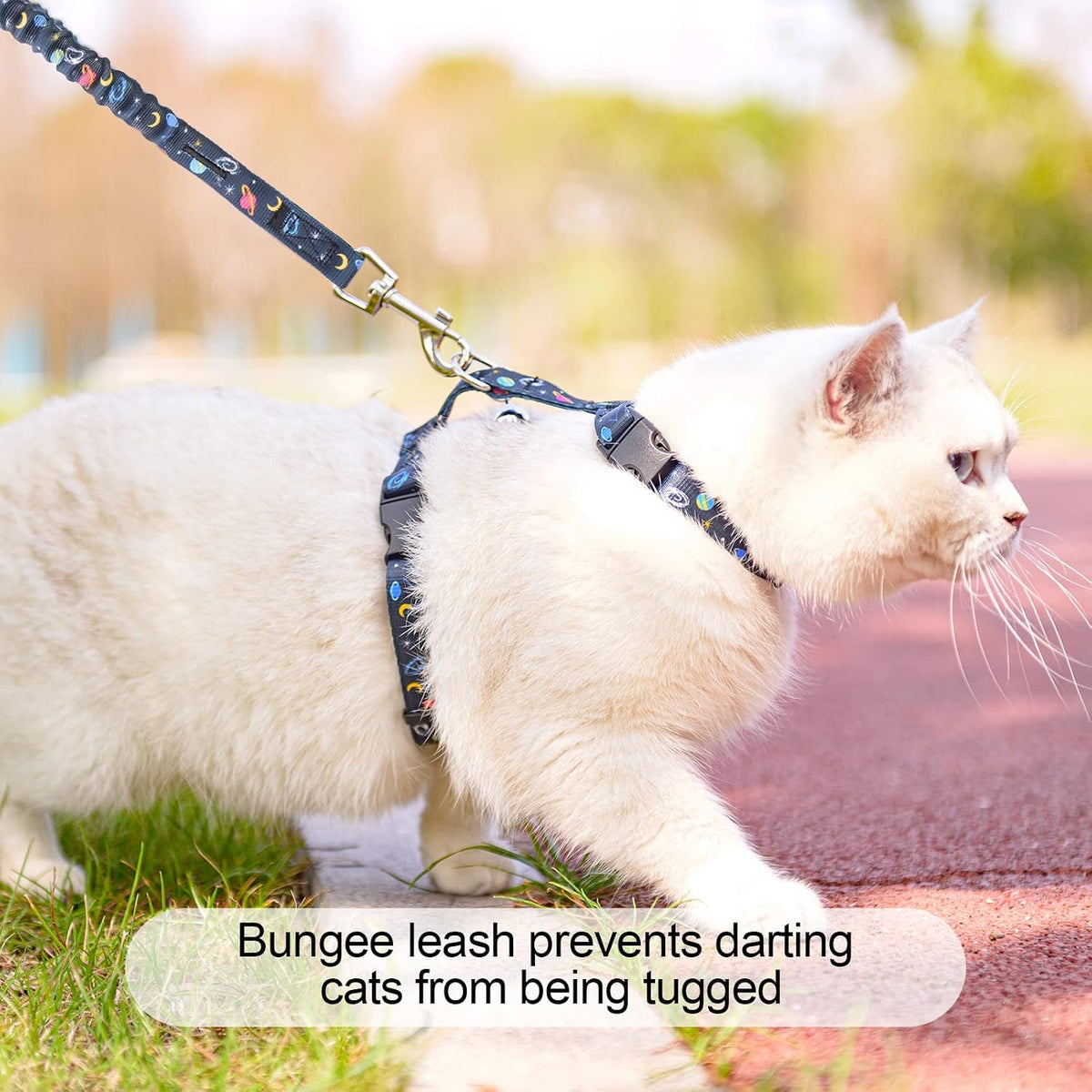 BEAUTYZOO small cat vest harness back view highlighting metal D ring