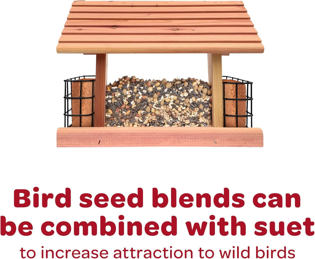 Kaytee All American Wild Bird Food Seed Blend for Cardinals, Blue Jays, Finches & Other Outdoor Wild Birds, 5 Pounds - Image 11