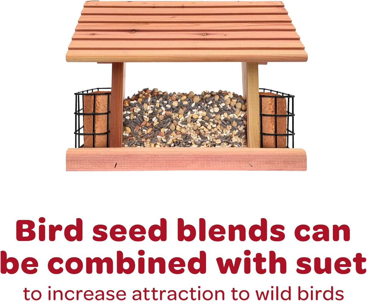 Kaytee All American Wild Bird Food Seed Blend for Cardinals, Blue Jays, Finches & Other Outdoor Wild Birds, 5 Pounds - Image 11