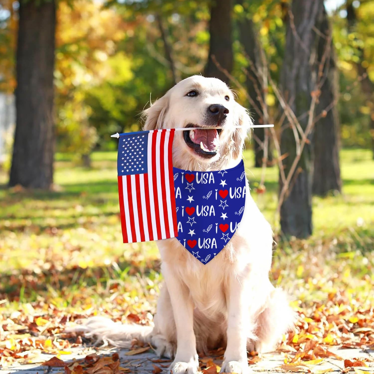 XGXHZYLC American flag patriotic pet scarf set laid flat showing dual patterns