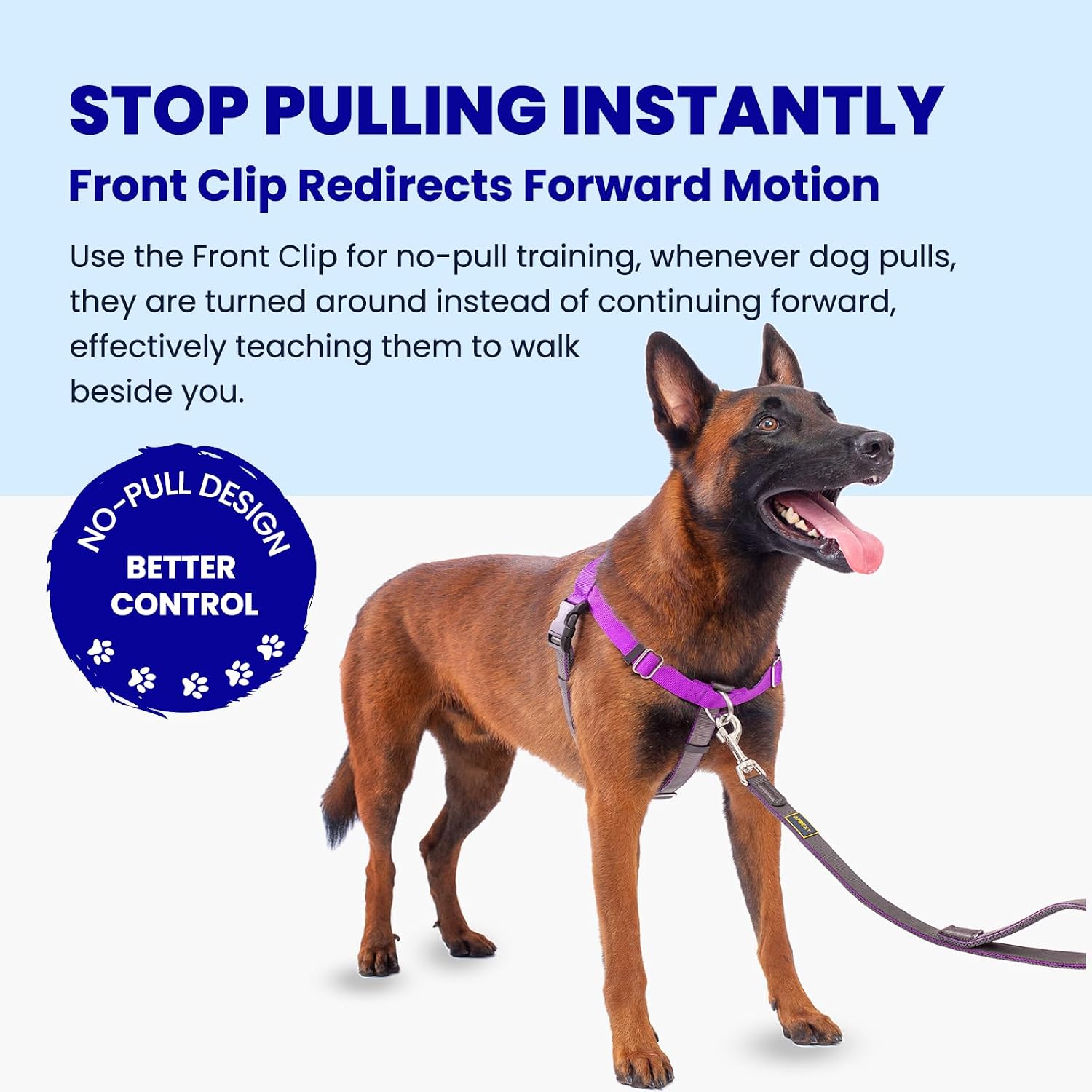 Apdexy dog harness stainless steel D-ring detail
