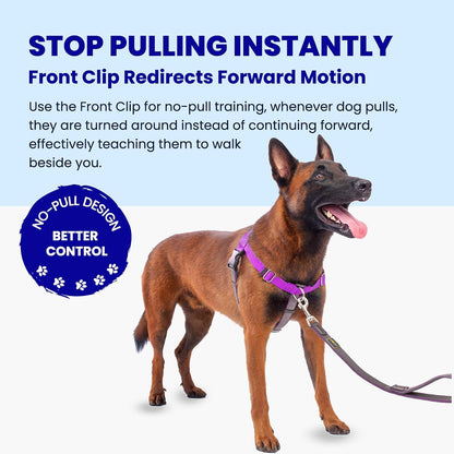 Apdexy dog harness stainless steel D-ring detail