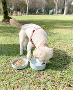 Premium imported travel water bowl for medium and large dogs