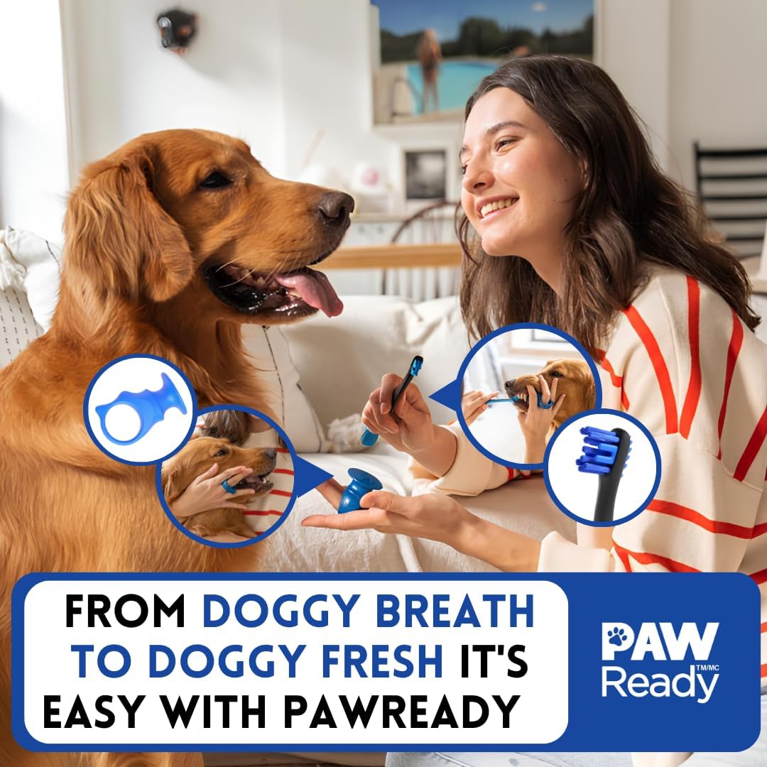 Back label of Paw Ready dog dental care packaging with usage instructions