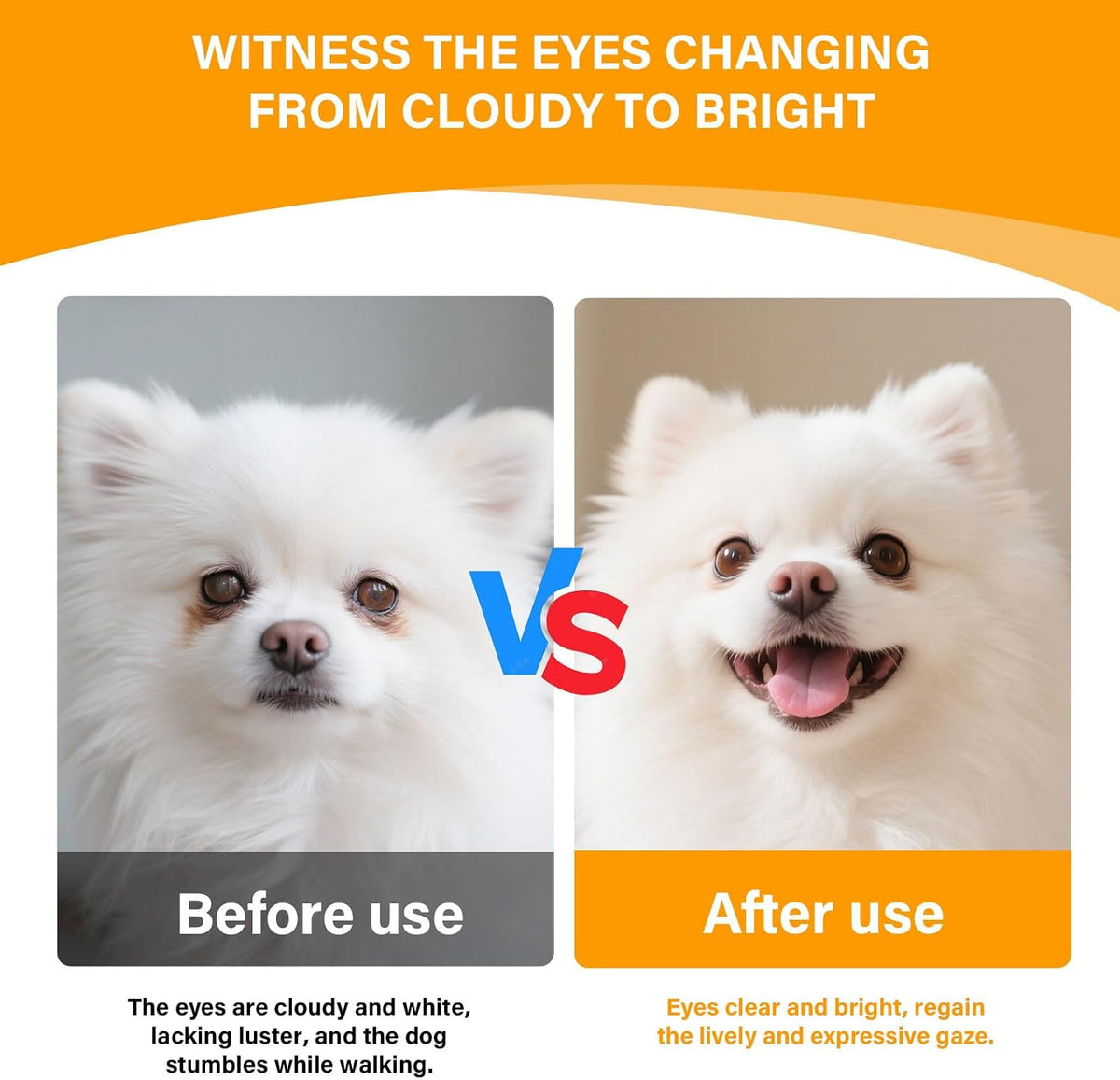 Nutridog canine vision support formula highlighting lutein and vitamin C ingredients
