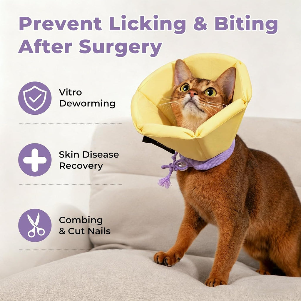 Adjustable waterproof sunflower shape Elizabethan collar on a small dog